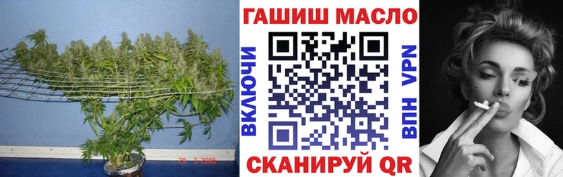 наркота  Покров  Дистиллят ТГК гашишное масло 
